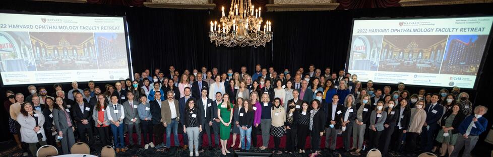 Harvard Ophthalmology Faculty Photo