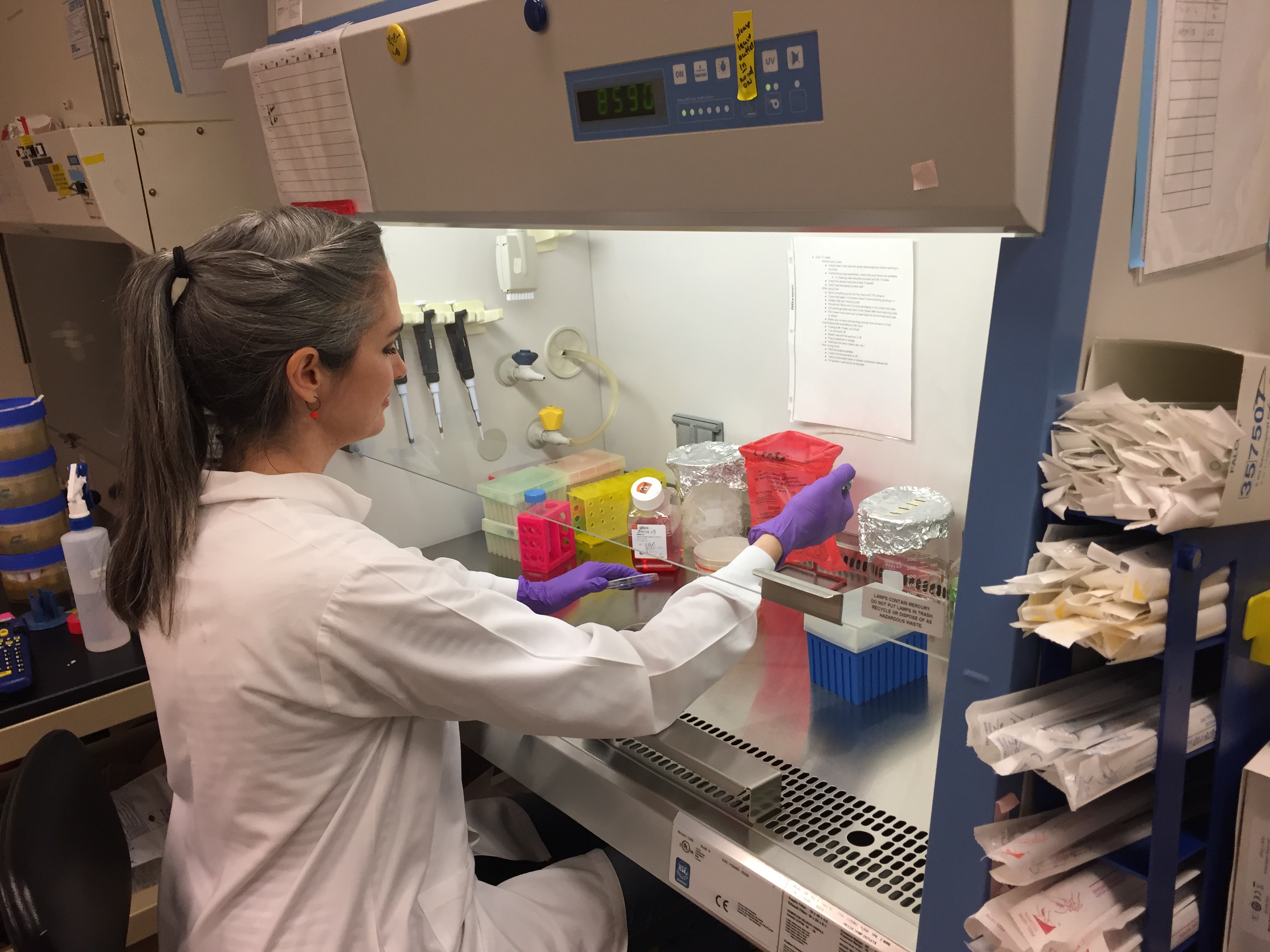 Caitlin Collin working in the laboratory