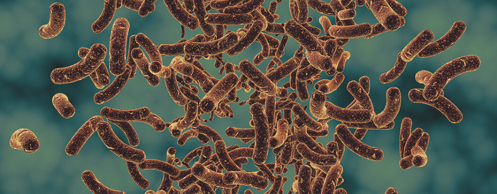 Infectious Disease