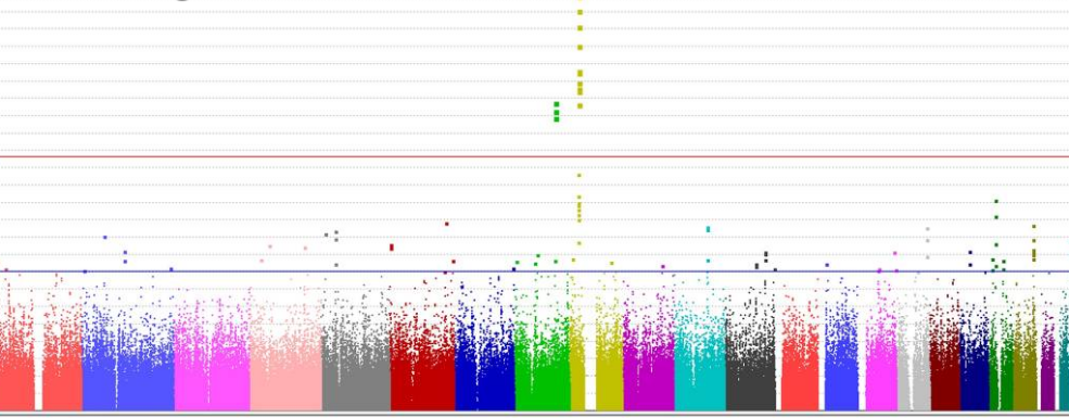 Ocular Genomics