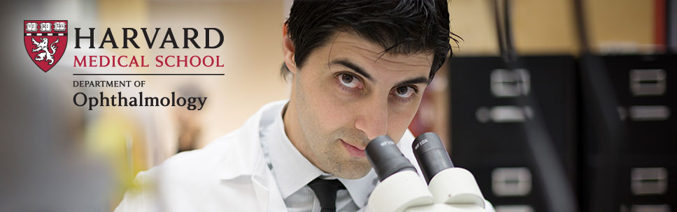 Harvard Ophthalmology Calendar