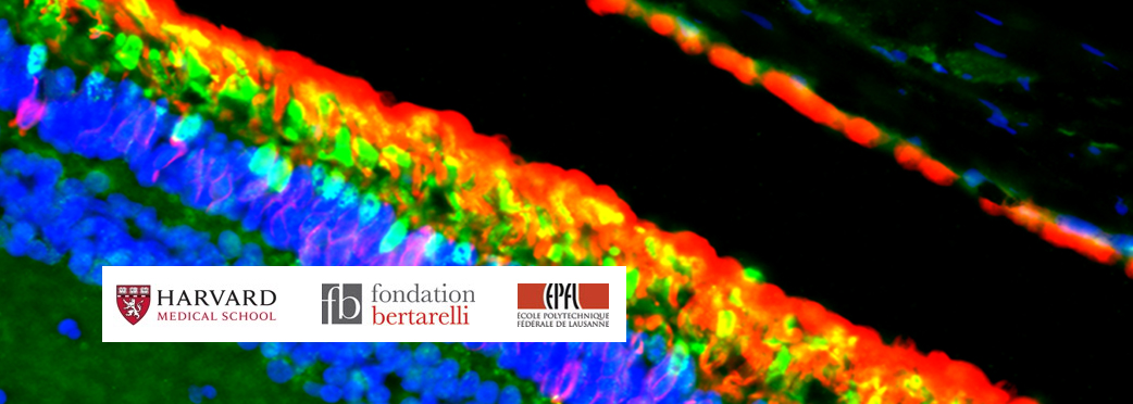 Bertarelli Grant
