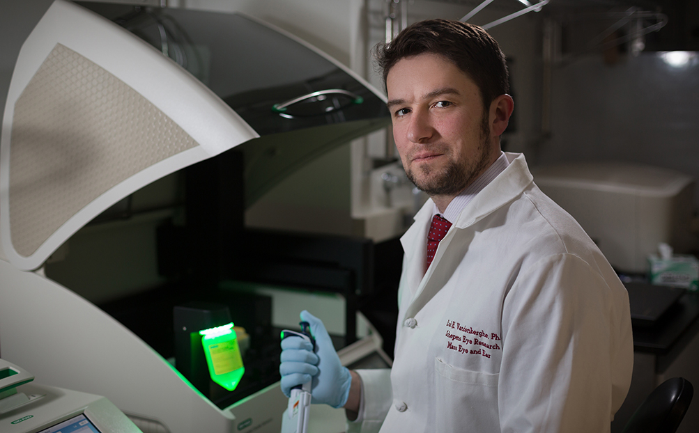 Luk Vandenberghe, PhD