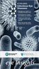 Eye Insights Clinical Newsletter #5