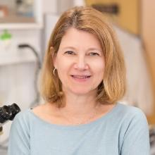 Photo of Dr. Pat D'Amore