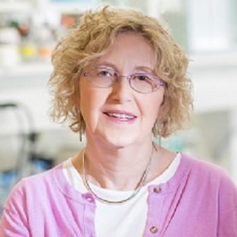 Dr. Darlene Dartt