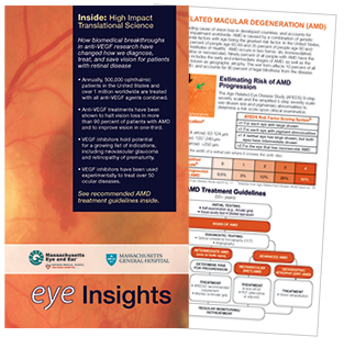 Eye Insights