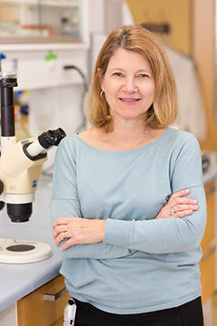 Dr. Patricia D'Amore in her lab