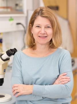 Dr. Patricia D'Amore in her laboratory