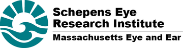 Schepens Eye Research Institute
