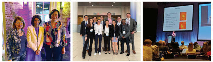ARVO 2022 collage