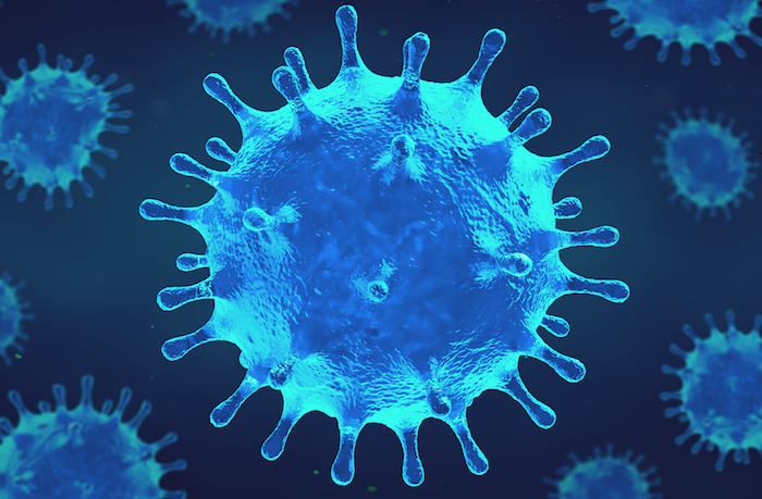 Coronavirus