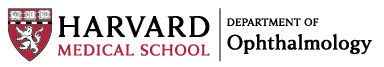 Harvard Medical School Department of Ophthalmology