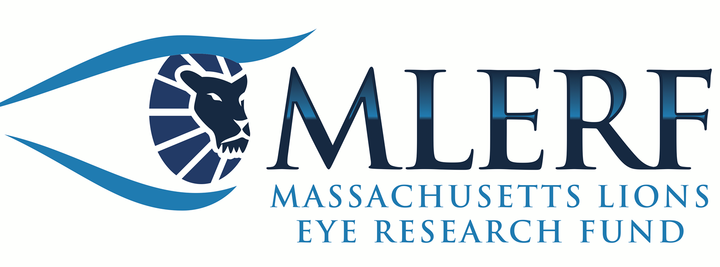 Lions Eye Research