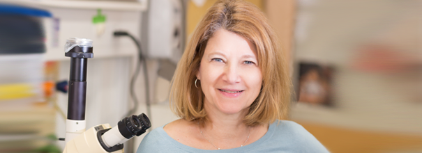 Dr. Patricia A. D'Amore