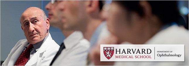 Professorships (Endowed Chairs) in Ophthalmology