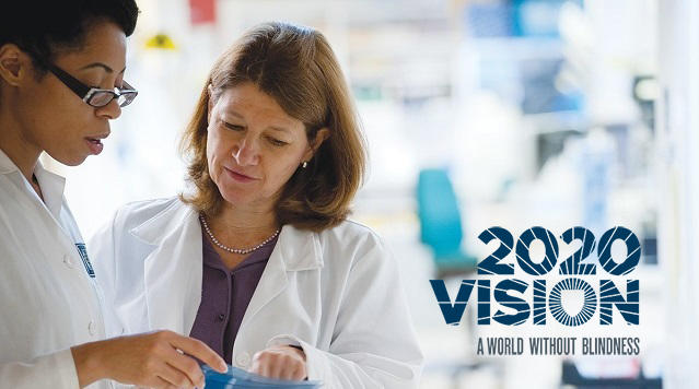researchers reviewing work in laboratory