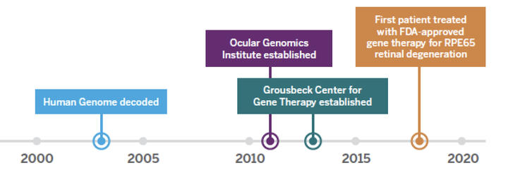Eye Witness Gene Therapy Timeline