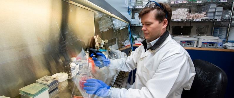 picture of petr baranov working in the lab