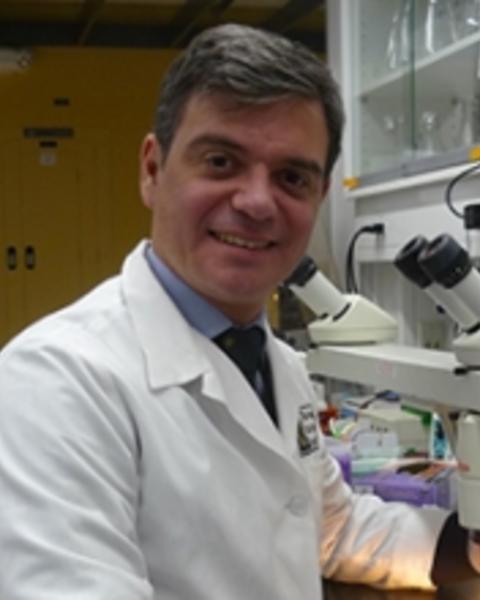 tecilazich_f_pic_250.jpg